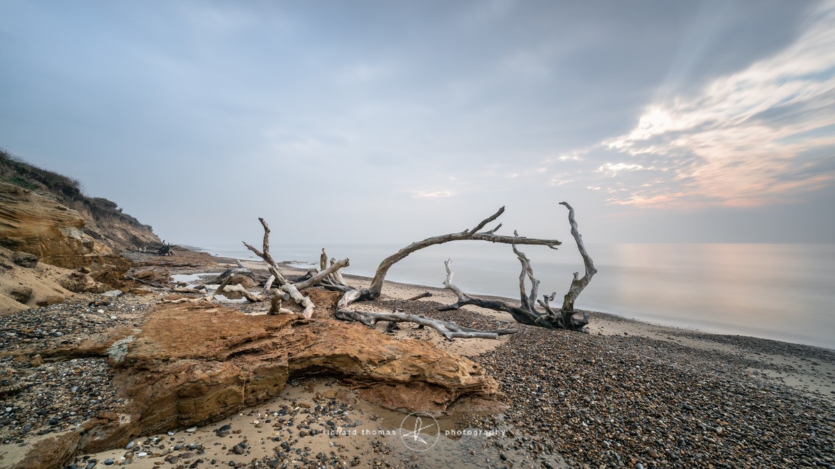 Treemains - Covehithe, Suffolk - Covehithe