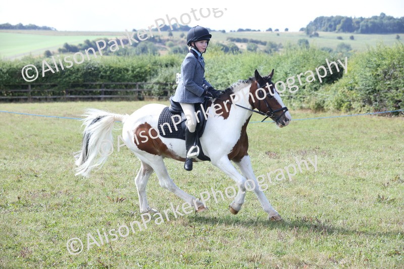 20250831-2478 - Class 16 - Family Pony