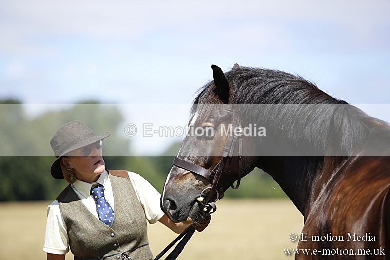 _C7A0072 - BVRC Sow 2018 Ring 2