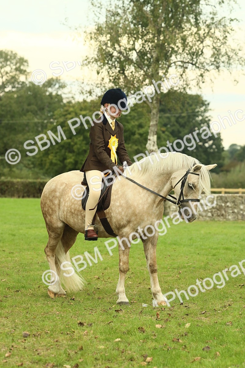 SBM_72339 - S60 - Mountain & Moorland Ridden Large Breeds