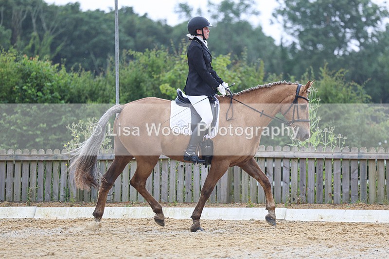 3E7A8597 - Class 2: Intro 3 2024 section B