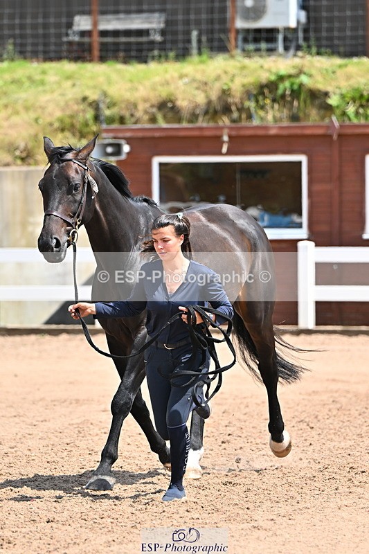 240718A-105316-01773 - Trot Up 1pm to 2pm