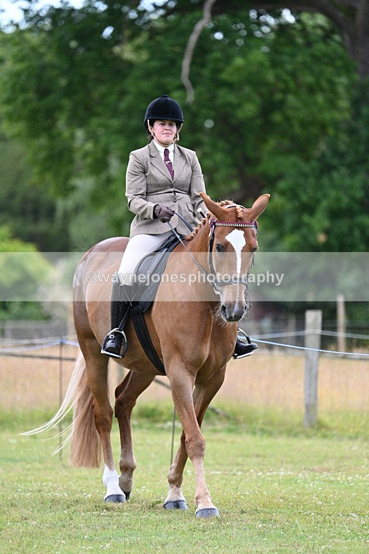 WJ7_8958 - Class 8 Ridden Veterans