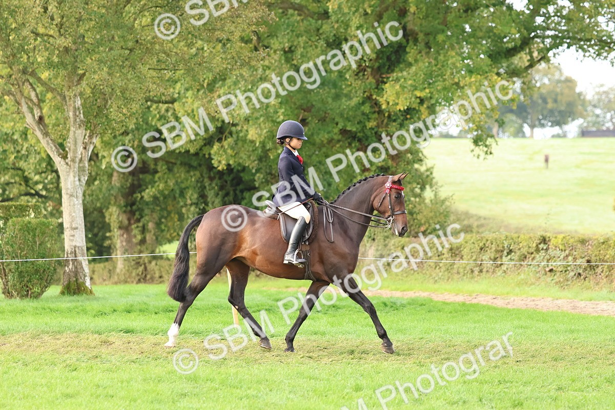 SBM_56556 - S40 - Starters Ridden Showing