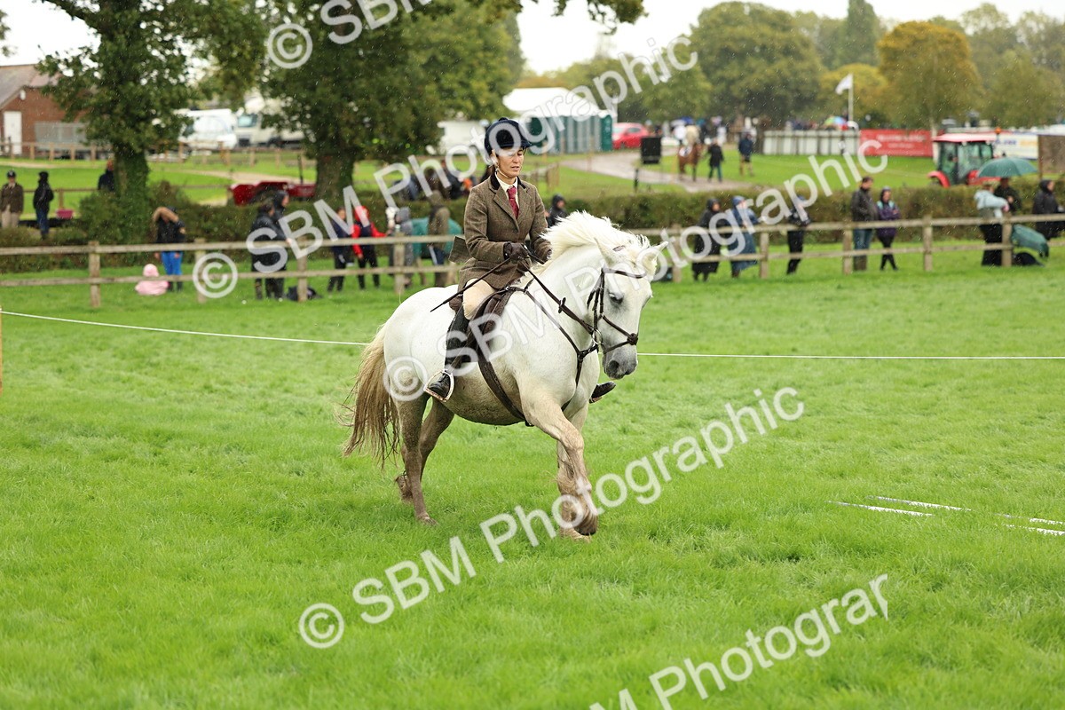 1I0A1480 - S32 - Mountain & Moorland Working Hunter Pony