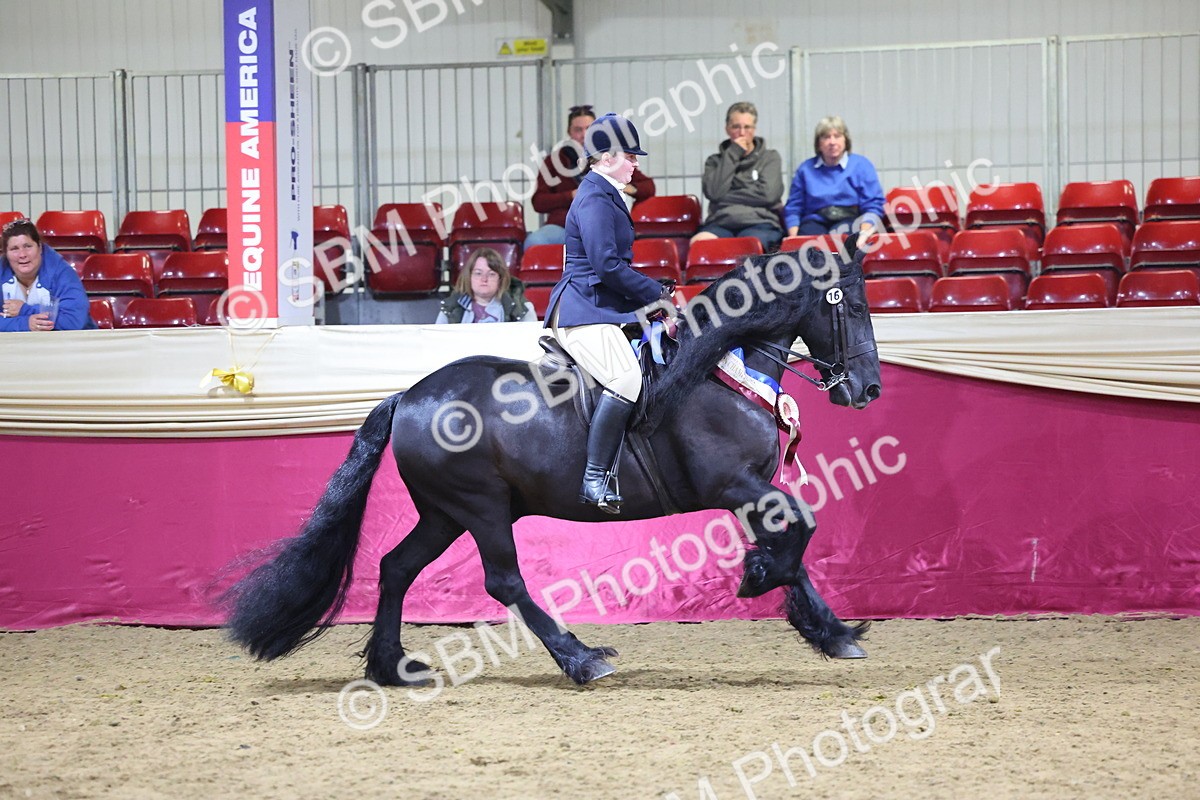 SBM_19303 - Class K Equitation Champ