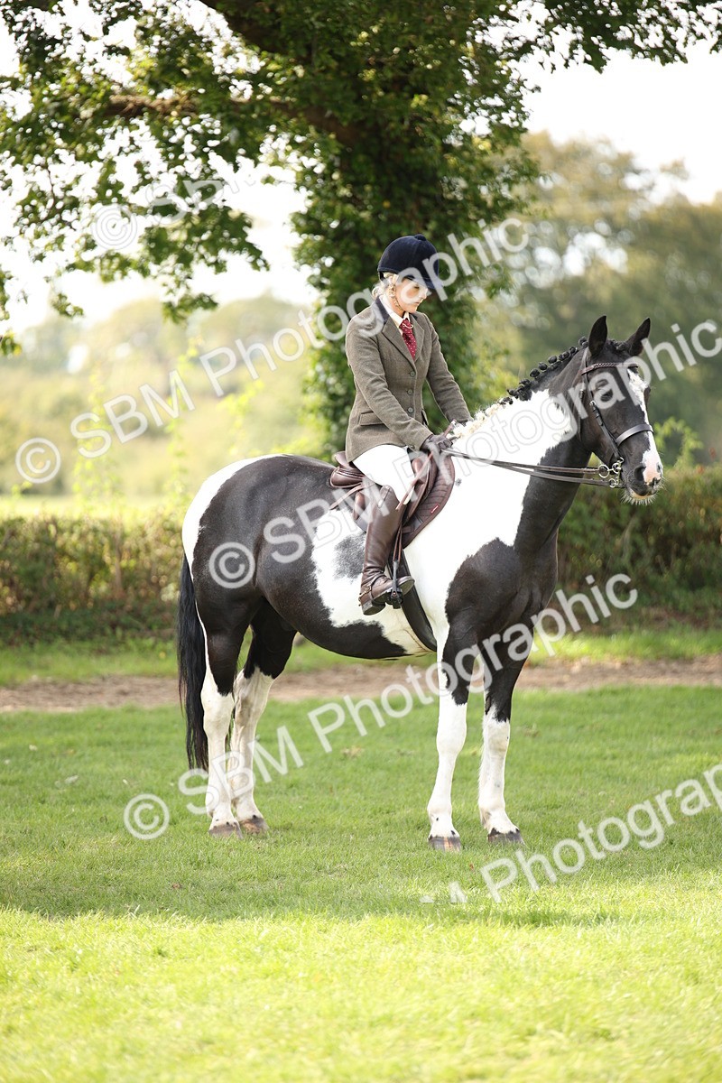 SBM_70135 - S65 - Piebald & Skewbald Horse Ridden