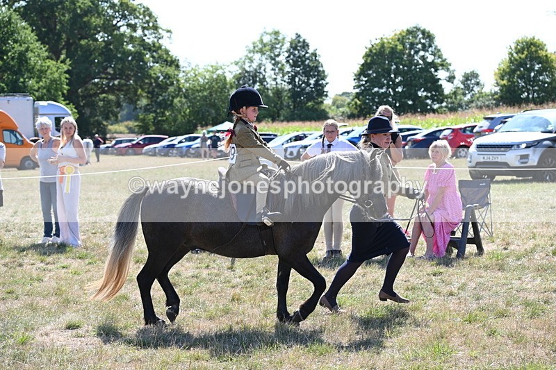WJ6_7797 - Class 36 Lead Rein