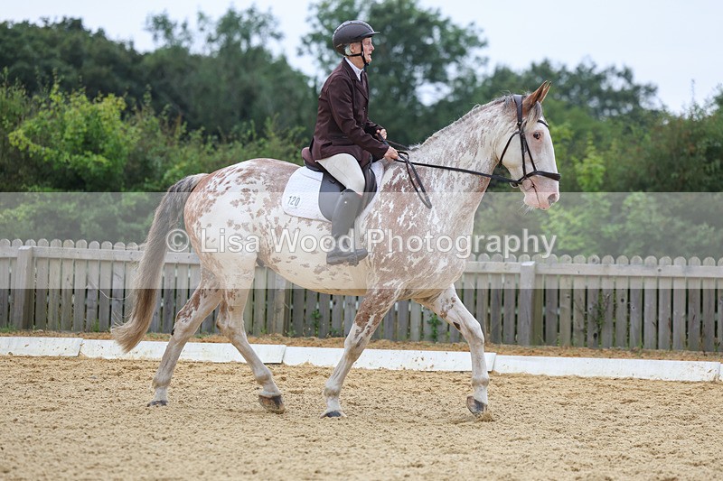 3E7A4891 - Class 1: Intro 4 2024 section A