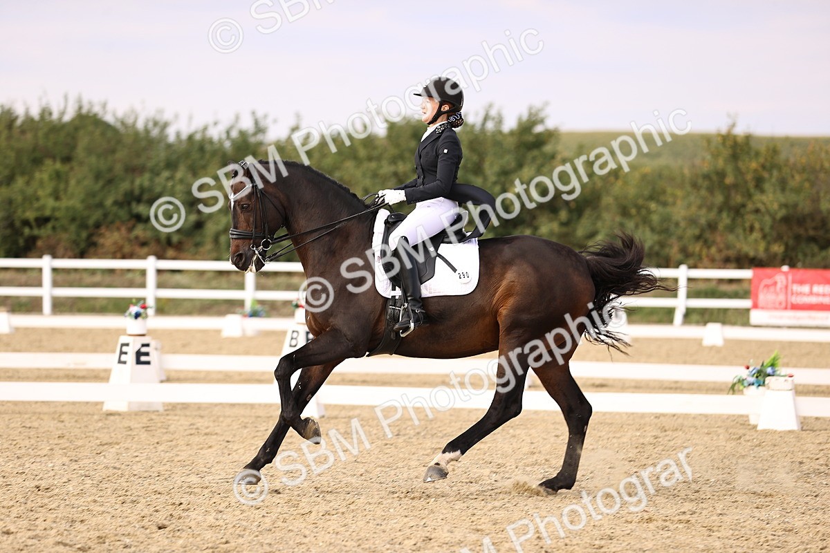 SBM_015565 - Class 11 - FEI PSG