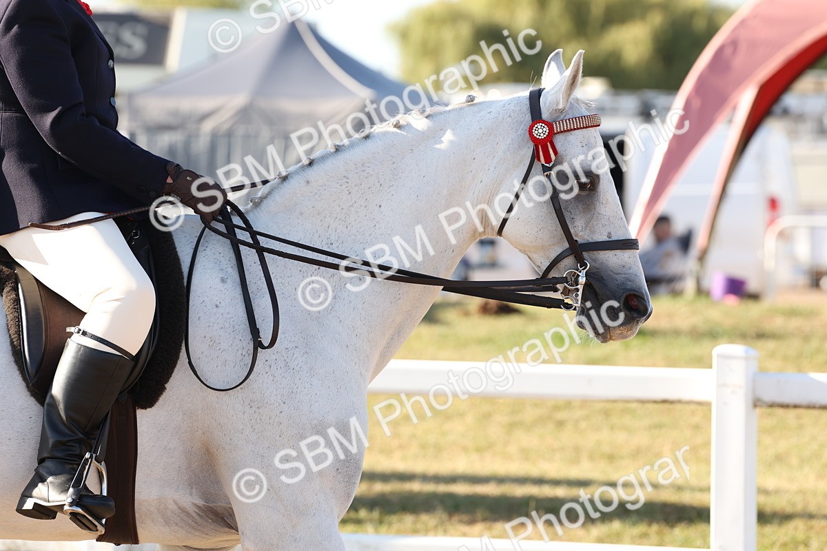 SBM_10831 - Class 202 - Best Turned Out - Ridden