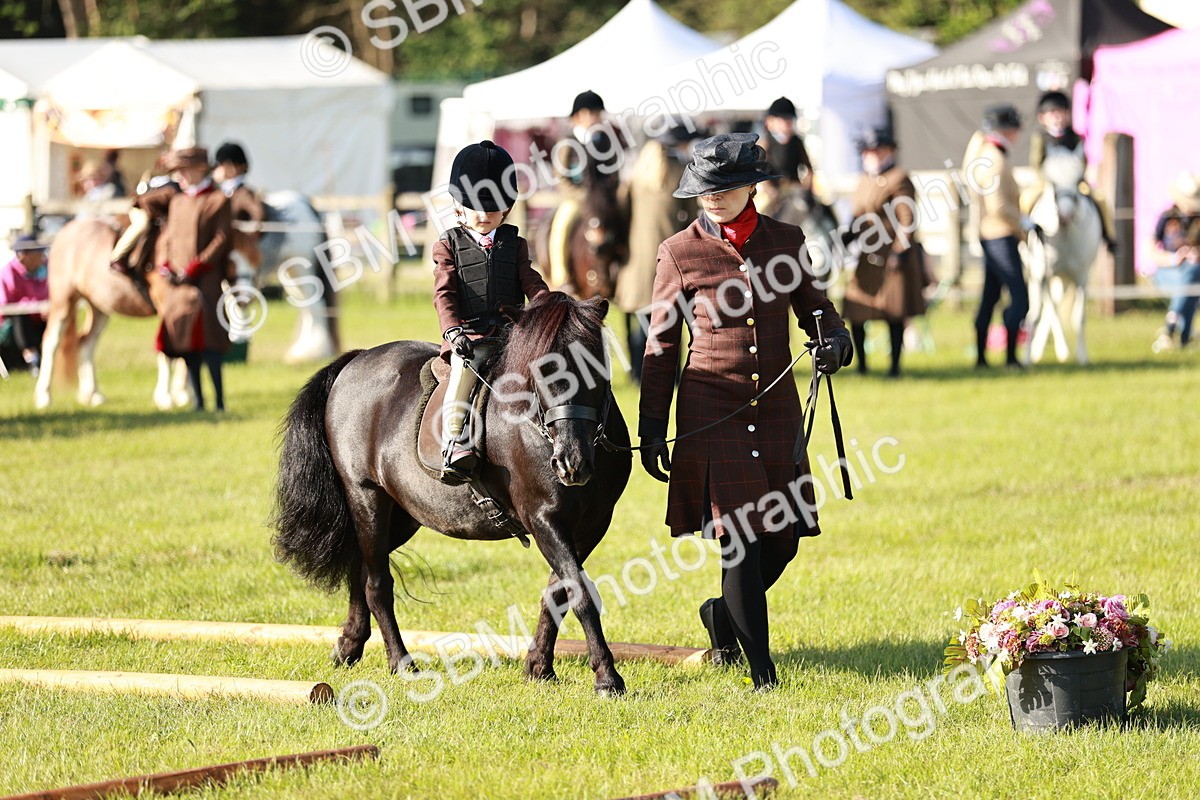 SBM_11108 - Class 106-107 - BSPS LIHS Working Sports Pony