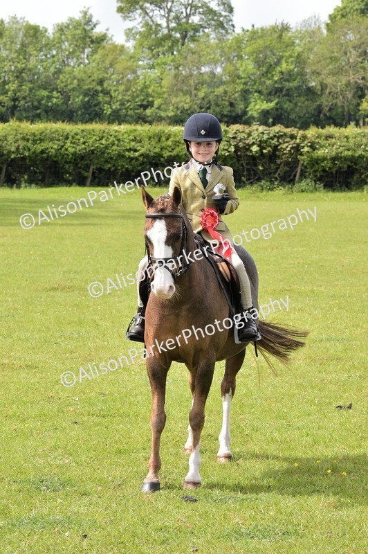 20260426-2344 - Class 20 - Beginner Working Hunter
