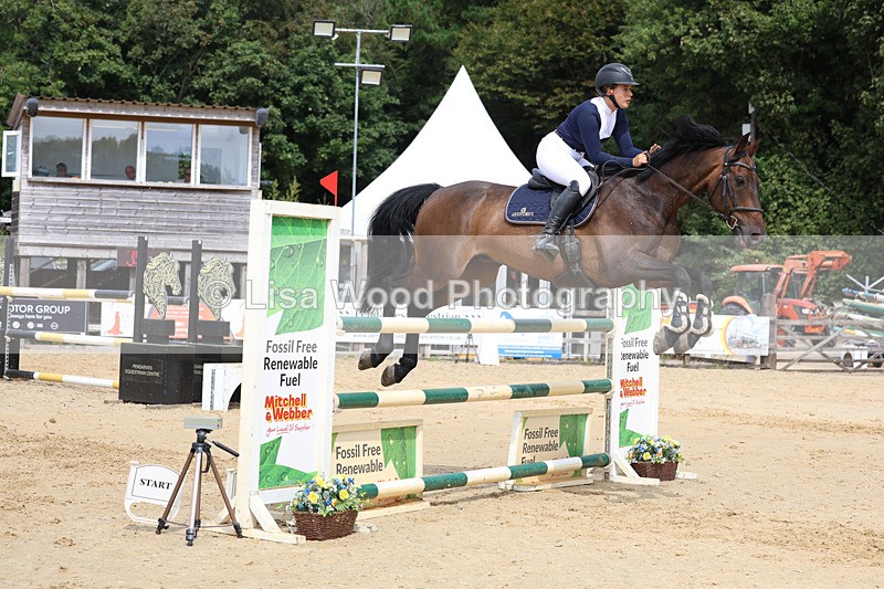 3E7A4391 - Class 8: Senior Foxhunter/1.20 open