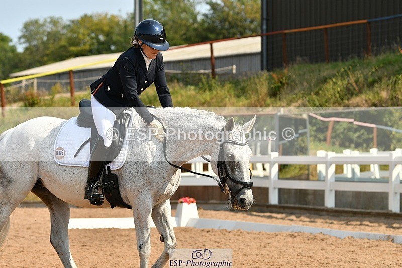 250817-111458-08526 - 086-Tammie.WellsSilver.moonshine