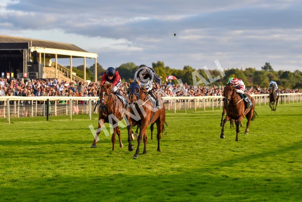 230923-Race 7-Two Brothers-7181 - Race 7 5.30pm Neil Atkinson's 60th Birthday Celebration Handicap