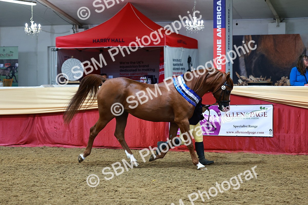 SBM_23060 - Supreme Final - IH  Champ