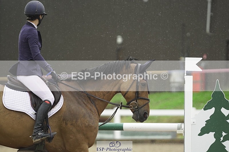 230722A-132010-09331 - Cls 15, 1 Star Bronze 1.15m