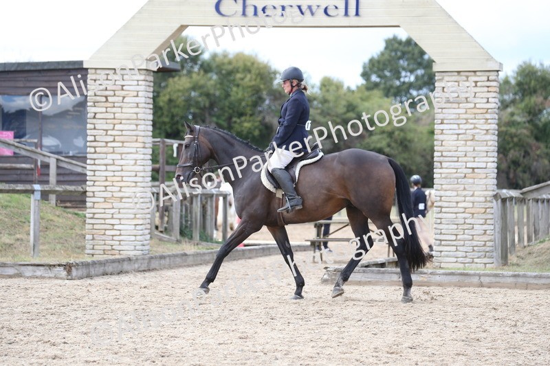 20260831-2633 - Class 15 - Ridden Retraining of Racehorses