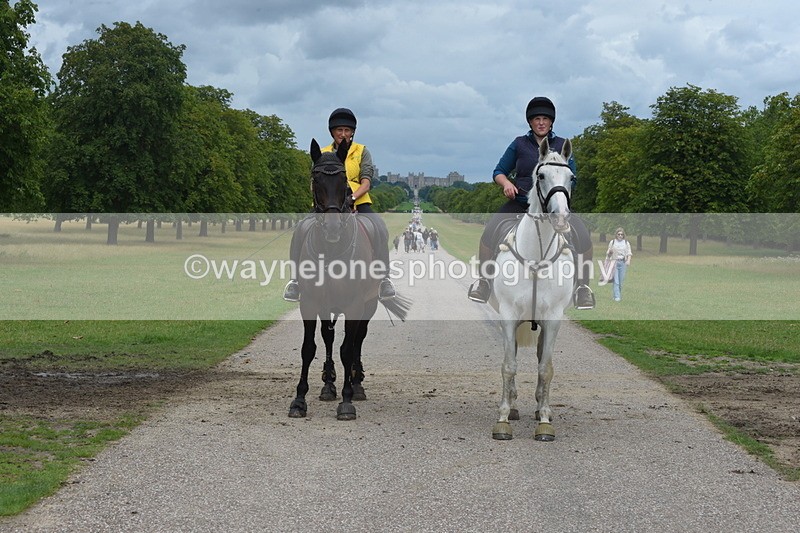 TT3_9838 - Time at Crossing 11:28 to 13:16