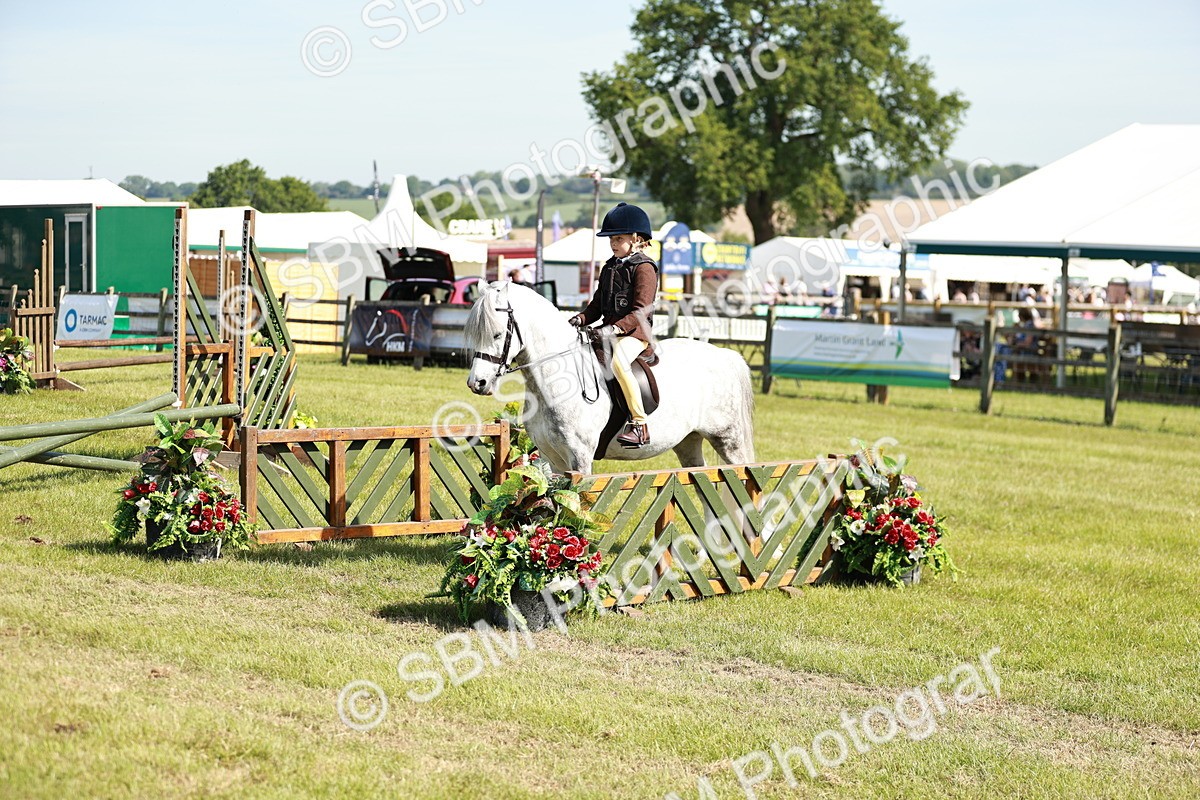 SBM_12781 - Class 106-107 - BSPS LIHS Working Sports Pony