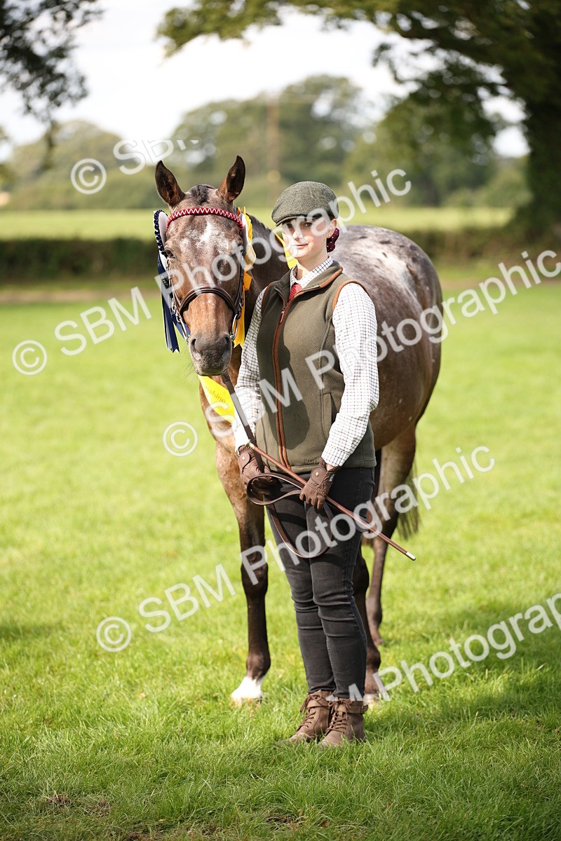 SBM_62970 - In Hand Horse Supreme Championship