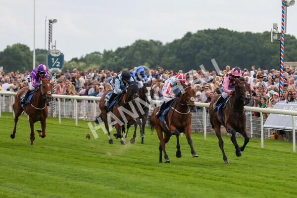 yr11062022r2-75 - Race 2 2.00pm Queen Mother's Cup