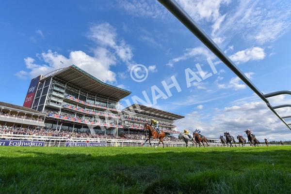 220825-Race 5-Cape Flora-9469 - Race 5 4.10pm Assured Data Protection EBF Fillies' Handicap