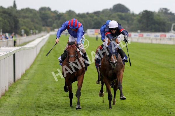 yr23072022r3-24 - Race 3 3.15pm Sky Bet York Stakes