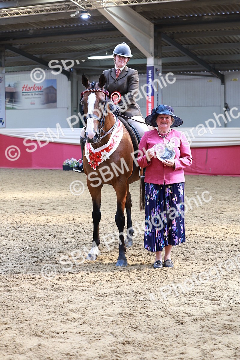 SBM_14979 - Class 108 - Ridden Retired Racehorse