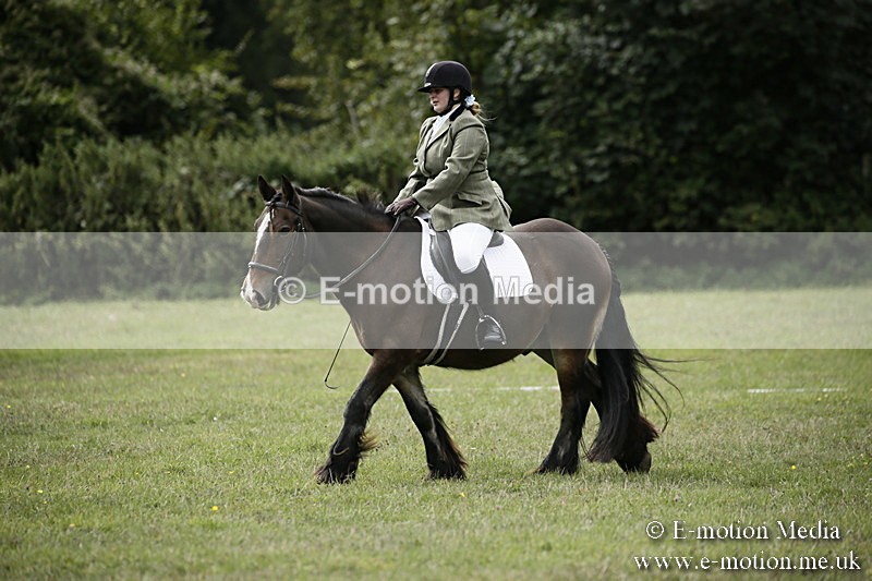 BVR080918 102 - BVRC Novice Dressage & CR 08/09/18