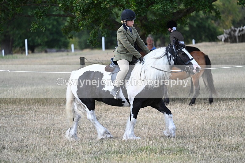 WJ7_6864 - Class 14 Ridden Coloured