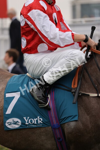 yr22072022r3-33 - Race 3 6.20pm Tomahawk Stakes