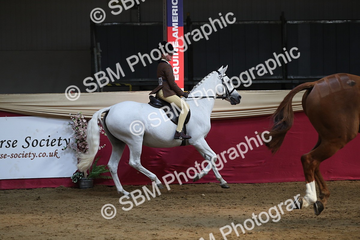 SBM_08315 - Class 11R Regional Ridden Veteran