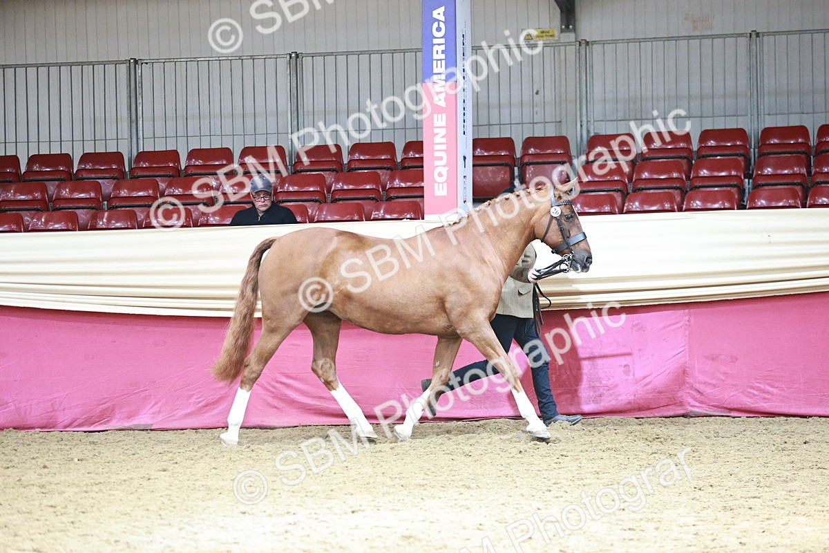 SBM_04678 - Class 7R - Regional IH Diamond