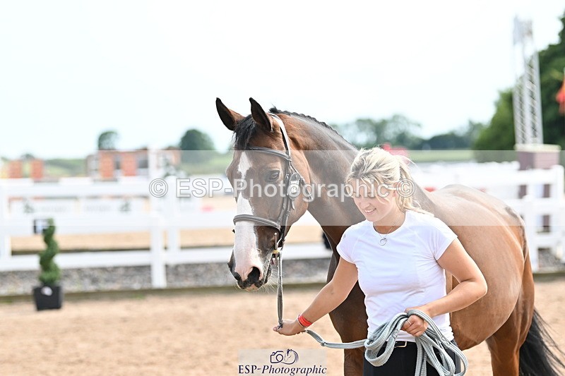 240717A-162023-03422 - Trot Up 4pm to 5pm