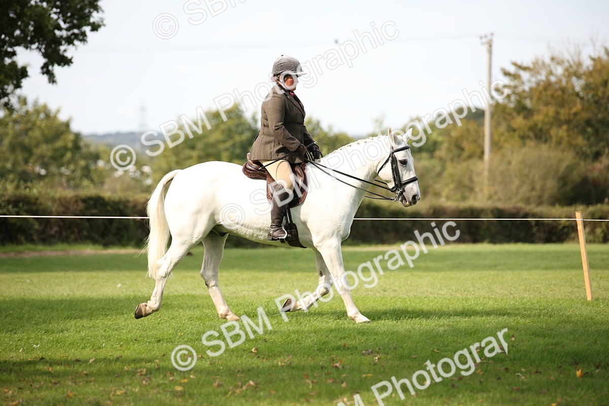 SBM_70359 - S66 - Hunter Ridden