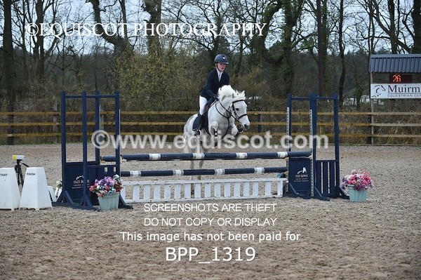 BPP_1319 - CLASS 5 Pony BritiNovice / 0.80m Open