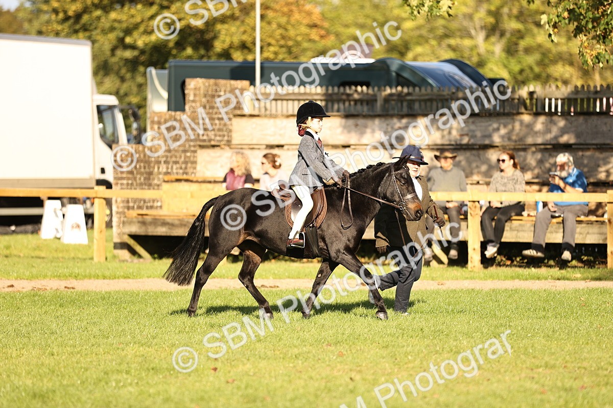 SBM_29381 - S7 - Novice & Newcomers Ridden Pony