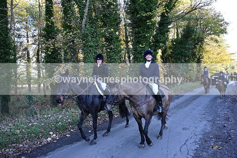 WJ6_9738 - Walk Home