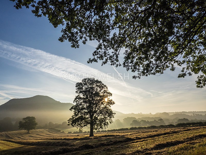 3 - SCOTTISH BORDERS