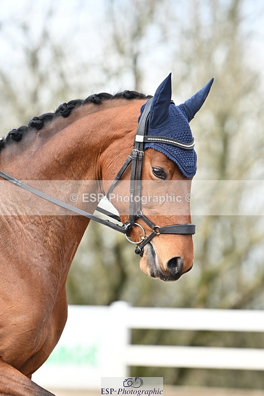 240218A-141646-08035 - 209-Charlotte.Dicker-Catherston.Tarantella