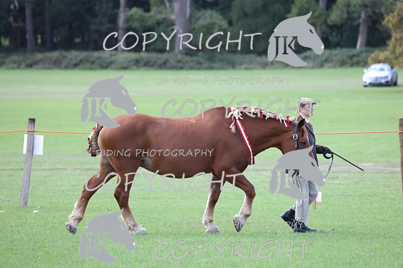 APP_3324 - Class 4 Veterans