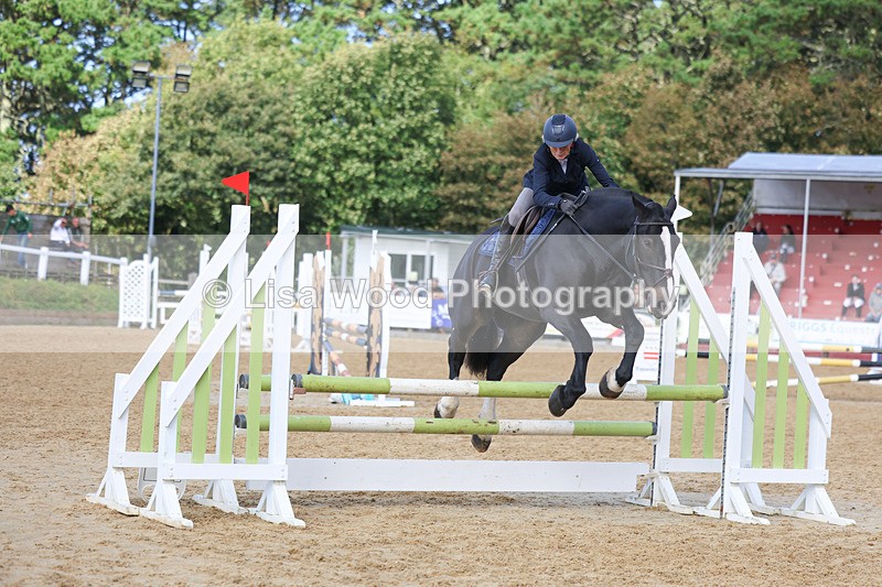 3E7A9469 - Class 9: Senior British Novice/90cm open