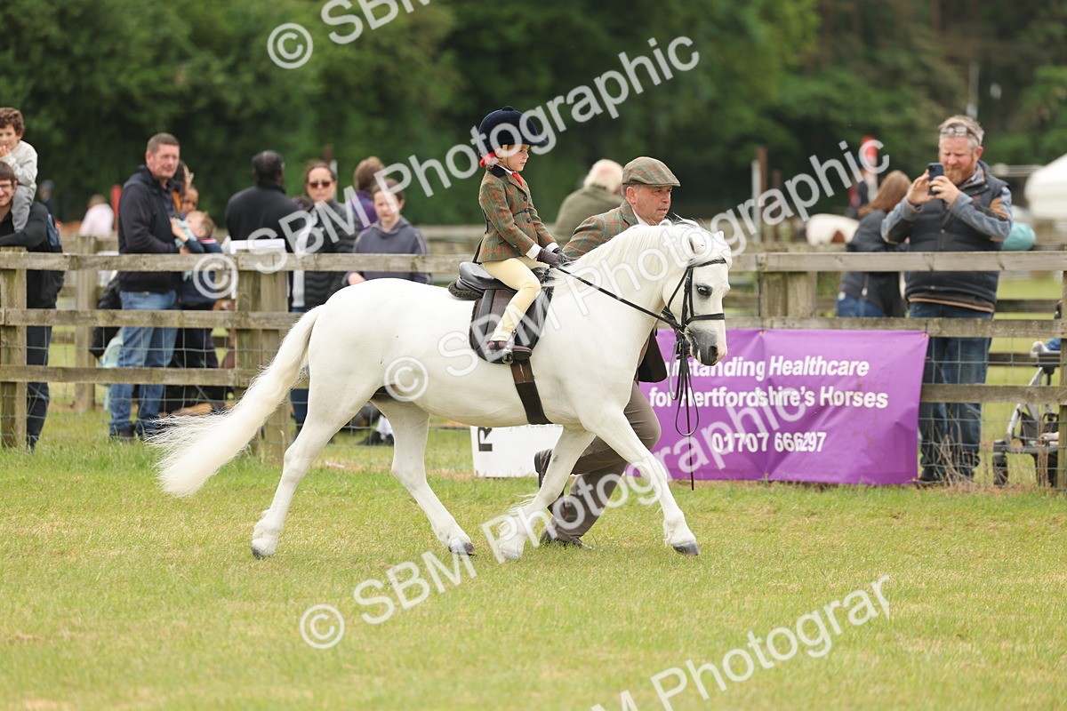 SBM_06678 - Class 74-75 - M&M Lead Rein and First Ridden Pony