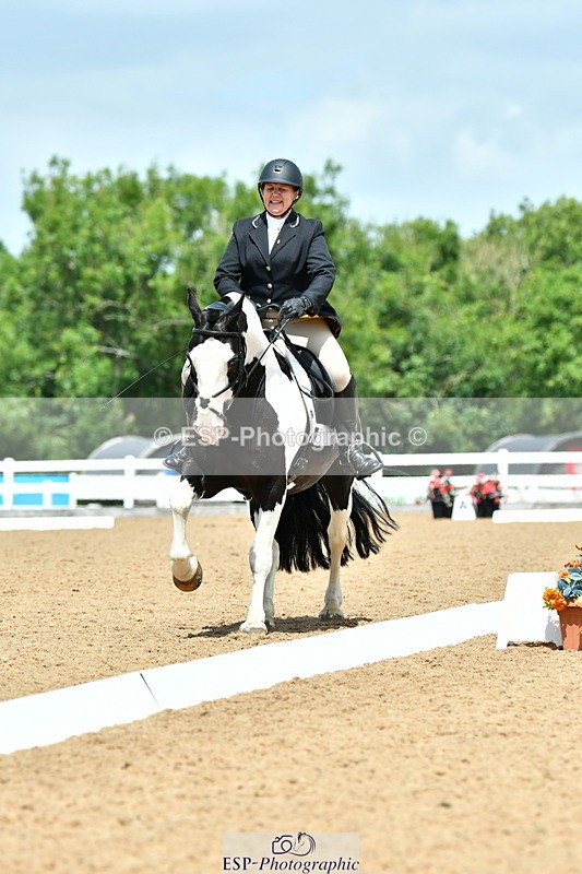 230702A-131209-09813 - Cls 28 Elementary 45