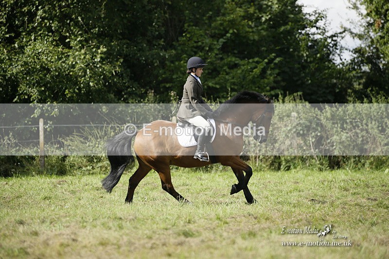 BVRC 120921 328 - Bourne Valley Riding Club UA Dressage & Show Jumping 12/09/21