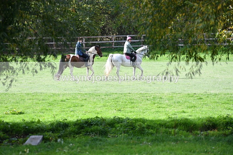 WJ5_7979 - Time 10:31 to 12:01