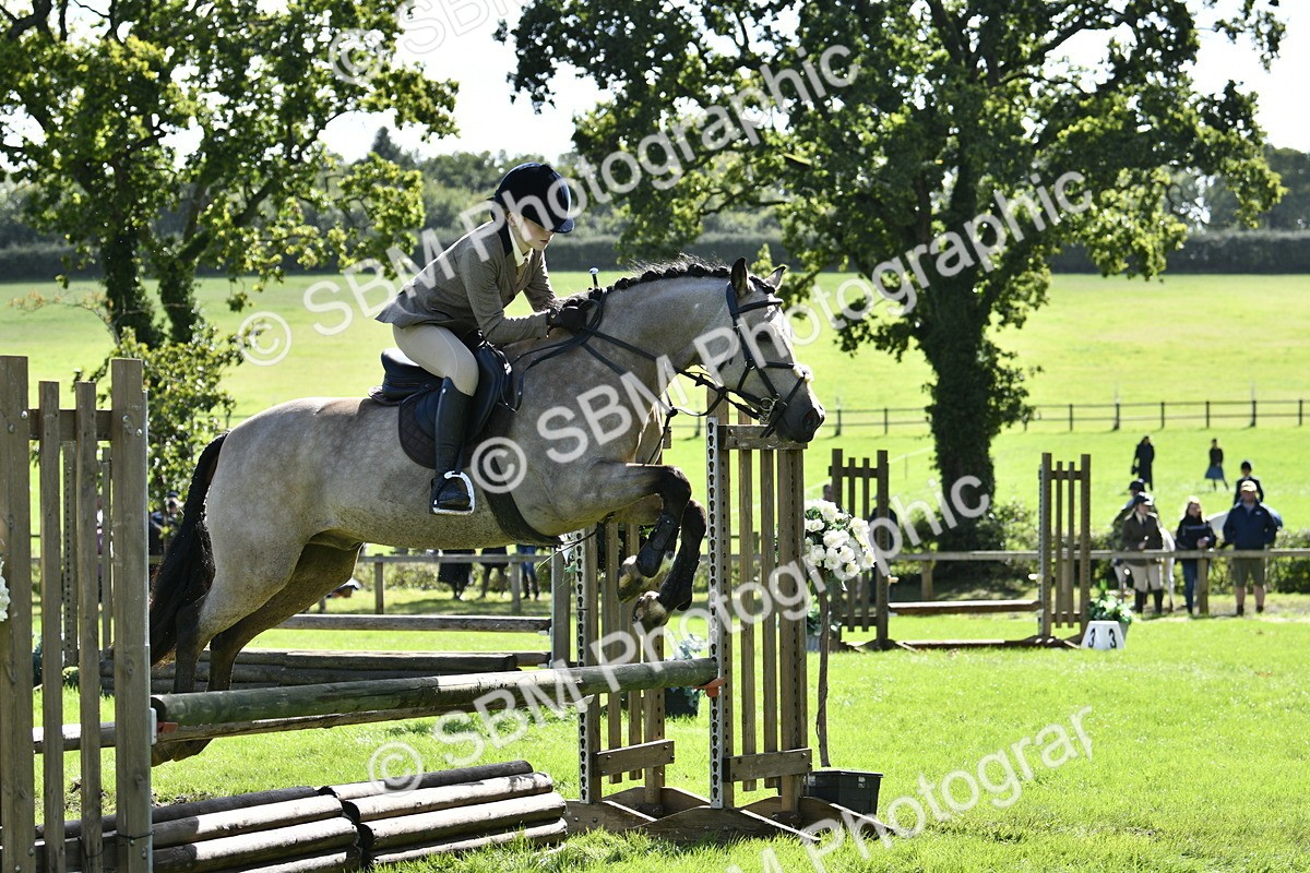 SBM_45724 - S33 - Working Hunter Pony