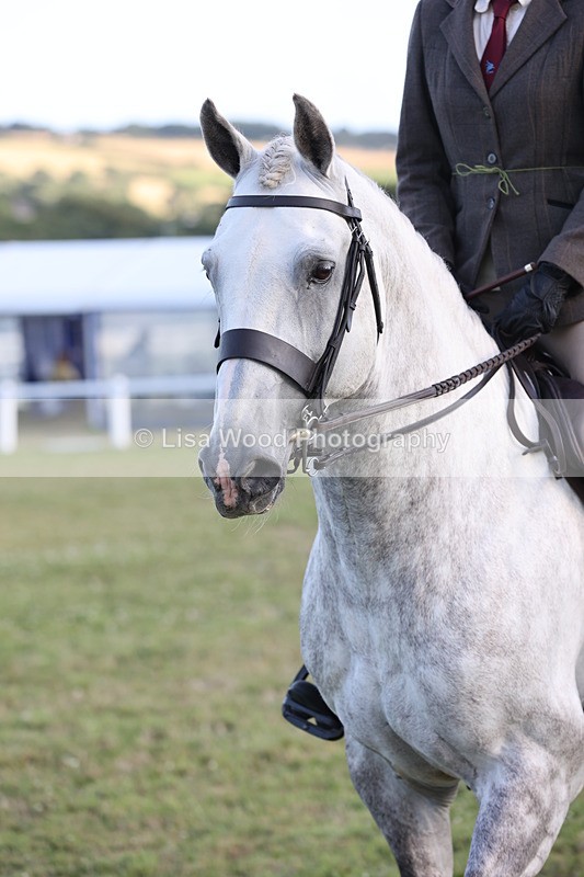 JPP_3507 - Class 22: Working Hunter 90cm